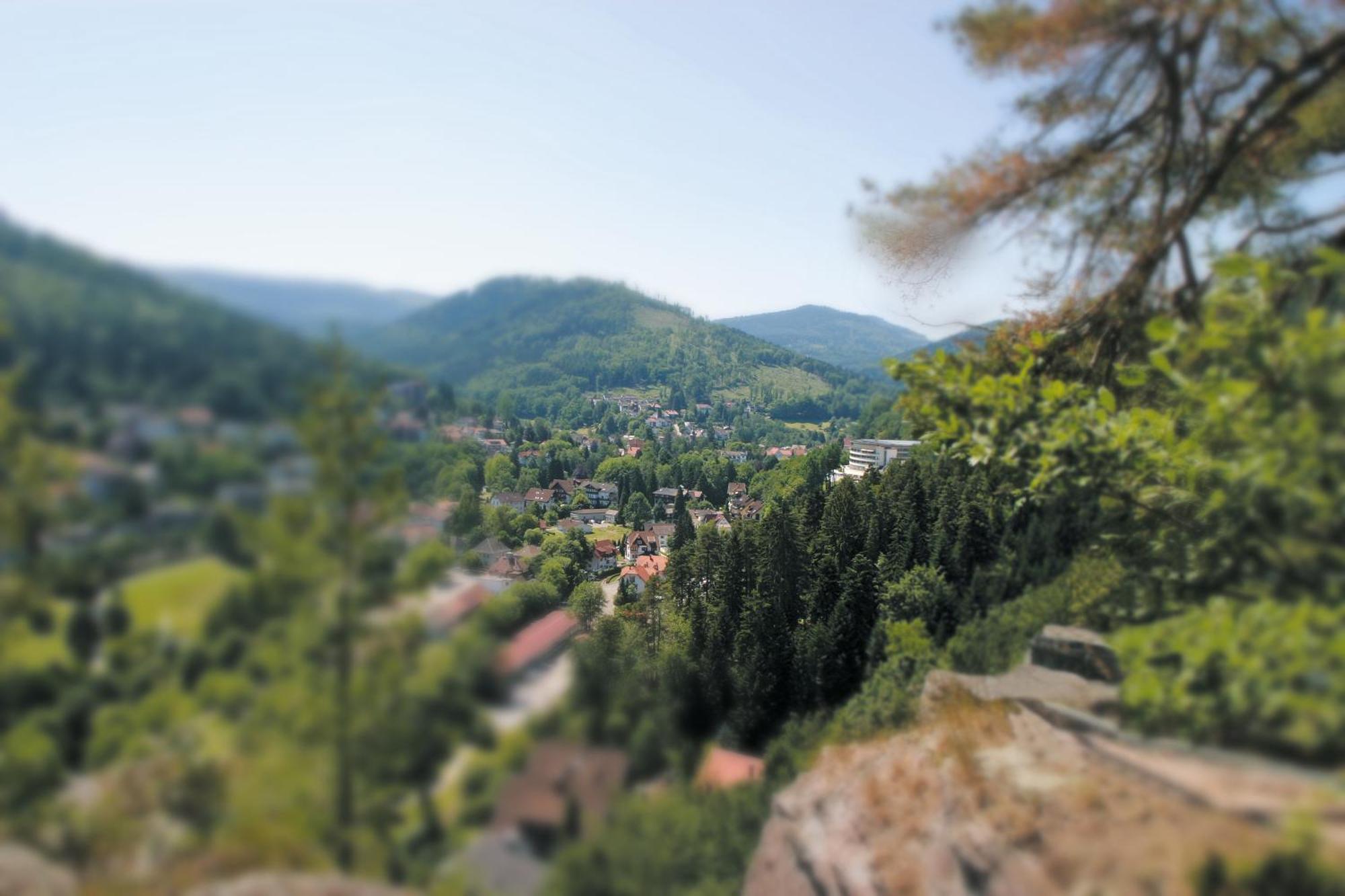 Schwarzwald Panorama Hotel Bad Herrenalb Buitenkant foto